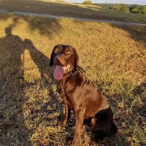 Meet your Posher, Dan